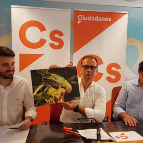 Ciudadanos propondrá en Ayuntamiento y Diputación “controlar la plaga de cotorras antes de que sea irreversible”