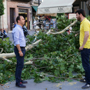 Millán denuncia “el daño al patrimonio por la caída de ramas que suponen un grave riesgo para las personas”