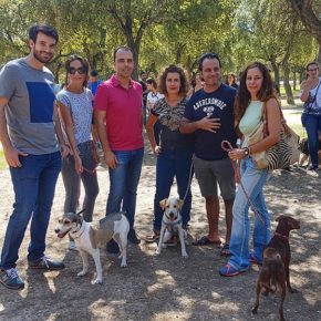Moyano propone “mejorar la convivencia de los sevillanos y mascotas” con una nueva ordenanza de bienestar animal