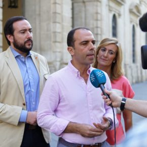 Millán (Cs): “El gobierno sigue demostrando con la Gavidia su falta de liderazgo y de proyecto estratégico para Sevilla”