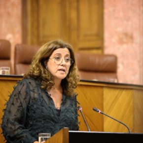 Hormigo: “El compromiso de Ciudadanos con el empleo es firme y ya se han resuelto más de un 27% de los ERTEs de Sevilla que afectan a más de 49.000 trabajadores”