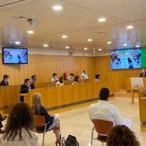Ciudadanos obtiene el apoyo del pleno de Diputación para crear un Plan de Apoyo al Comercio de Cercanía
