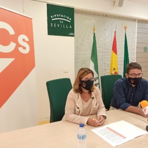 Ciudadanos llevará al pleno de la Diputación de Sevilla una moción “necesaria” para prevenir el suicidio de fuerzas y cuerpos de seguridad