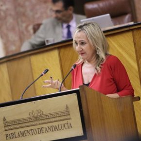 Llopis: “Ciudadanos garantiza la mayor protección de los niños y adolescentes sevillanos con la nueva Ley de Infancia de Andalucía”