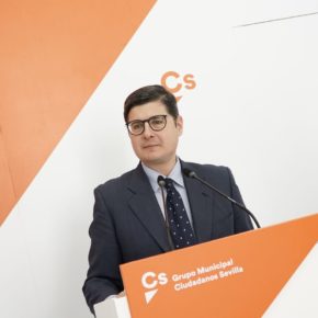 Ciudadanos reclama “más diálogo” entre en el Ayuntamiento y las eléctricas para evitar nuevos cortes de luz en los barrios