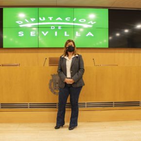 Ciudadanos aplaude que la Diputación de Sevilla haya dado “luz verde” a su moción para crear un “plan de pueblos limpios de contaminación publicitaria”
