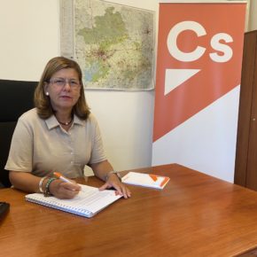 Ciudadanos propone a la Diputación de Sevilla la puesta en valor de su patrimonio inmobiliario como otra vía más para la reactivación económica de la provincia