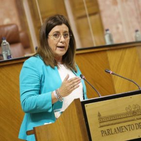 Hormigo: “Ciudadanos le ha dado la vuelta a las listas ocultas del PSOE y logra que más 48.100 sevillanos se beneficien de la Ley de la Dependencia”