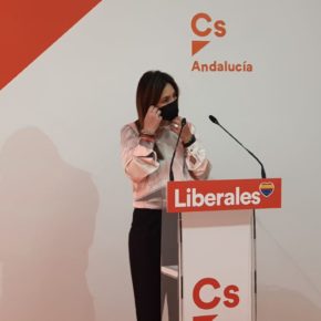 Cs Sevilla valora el esfuerzo de la Consejería de Educación para garantizar una vuelta al cole “presencial y segura” frente al Gobierno de Sánchez que "vuelve a lavarse las manos"