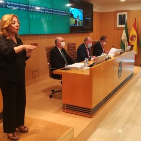 Ciudadanos aplaude la celebración del primer Pleno de la Diputación de Sevilla con intérprete de lenguaje de signos