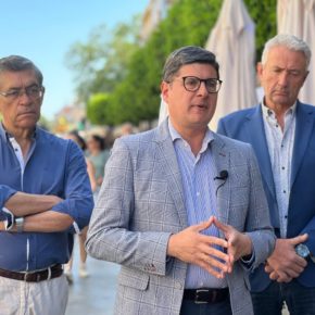 Ciudadanos critica el “doble rasero” de Muñoz en la gestión de la ‘Sevilla verde’ y exige “una revisión urgente” del arbolado