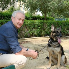Aumesquet (CS) presenta su plan ‘Sevilla, Pet Friendly’ para que la ciudad sea “cómoda” y “adaptada” a las familias con mascotas